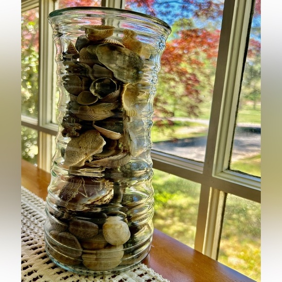 Waves Vase of Seashells Beach Coastal Decor - Picture 3 of 3